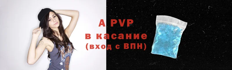 APVP СК КРИС  Кингисепп 