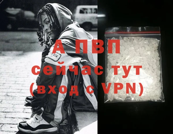 гашик Нея