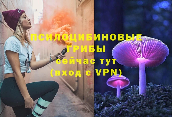 jwh Новокубанск