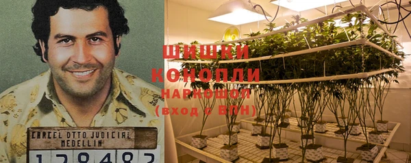 гашик Нея