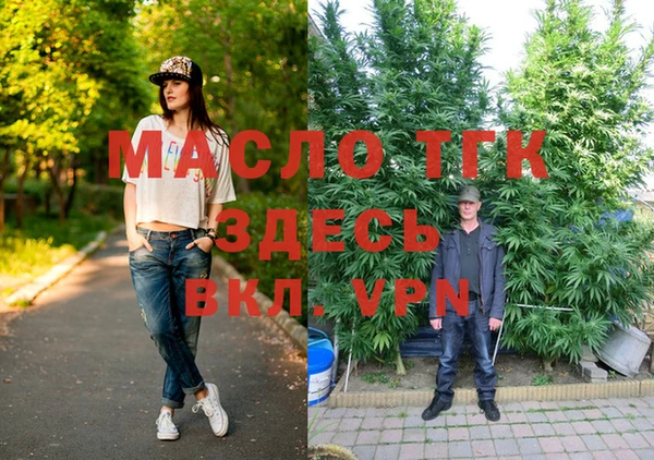 гашик Нея