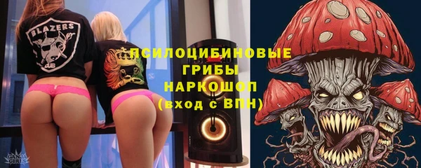 не бодяженный Новозыбков