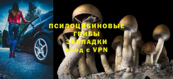 jwh Новокубанск