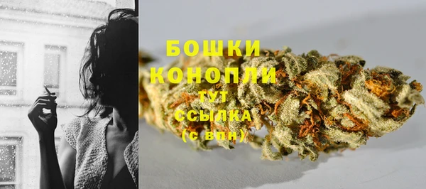 не бодяженный Новозыбков