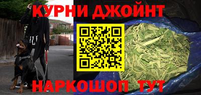 шишки Заводоуковск
