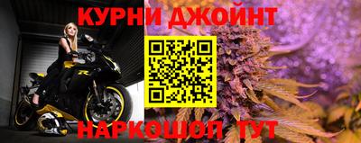 шишки Заводоуковск