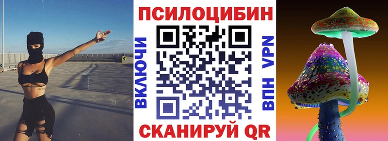 наркотики  Кингисепп  Псилоцибиновые грибы Magic Shrooms 