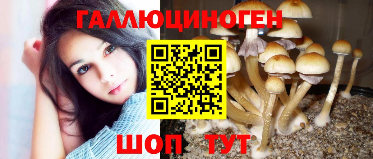 Кингисепп  Псилоцибиновые грибы ЛСД  Вход с VPN 