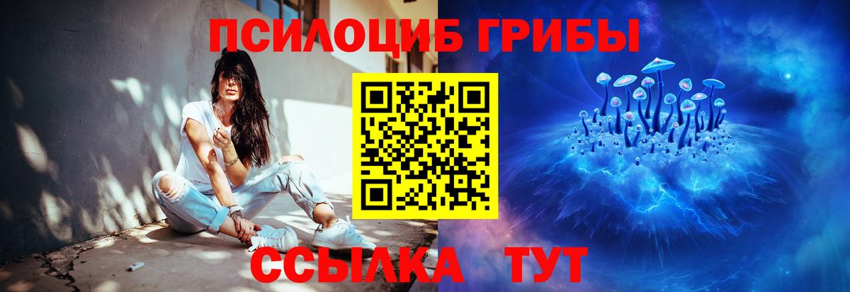 Псилоцибиновые грибы мухоморы Кингисепп