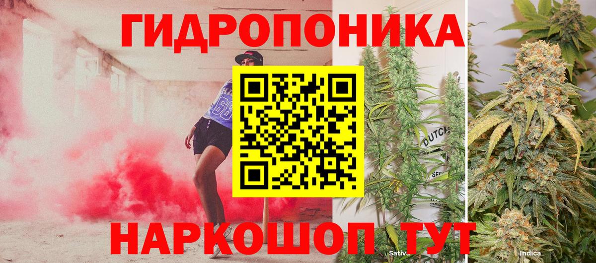 Марихуана индика  Шишки марихуана план  Кингисепп  Вход с VPN 